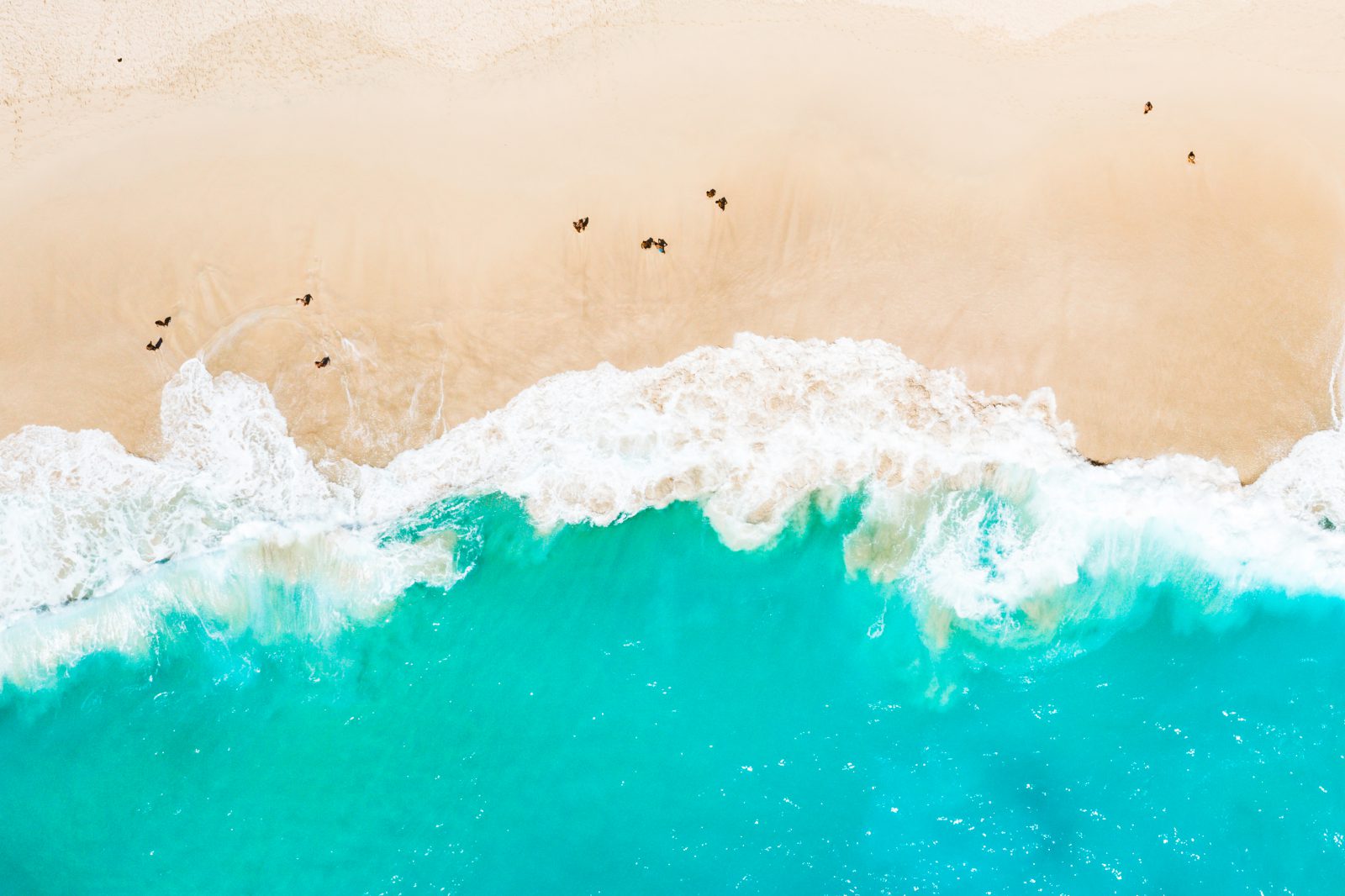 The Best Travel Apps for a Smart, Stress-Free Holiday